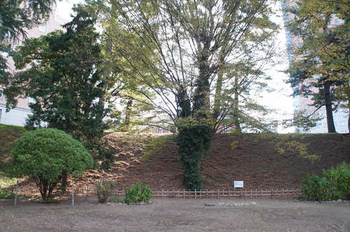 DSC08604