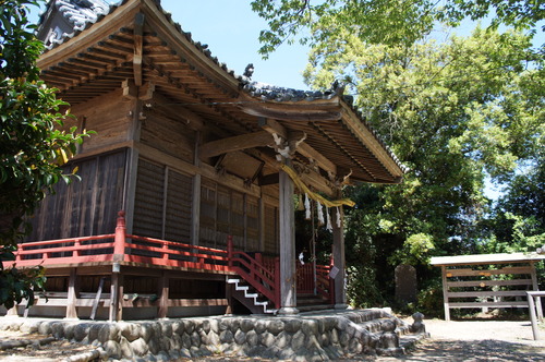 DSC00230