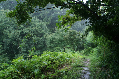 DSC00456