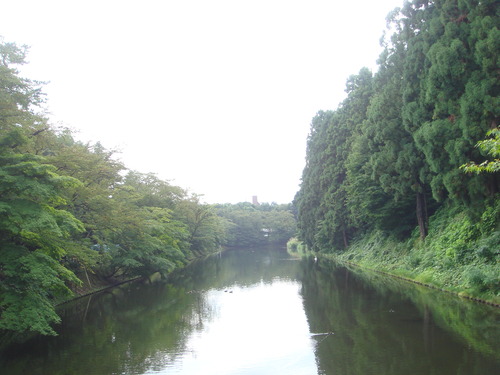 DSC06350