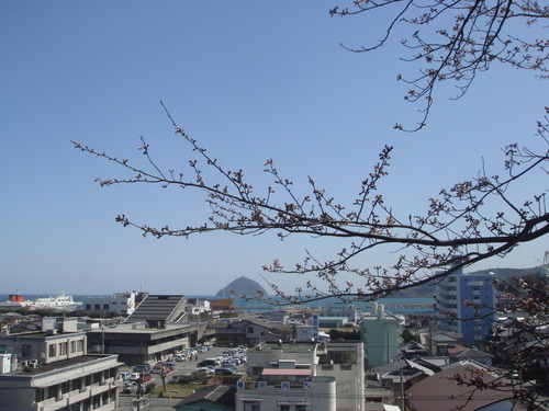 DSC04978