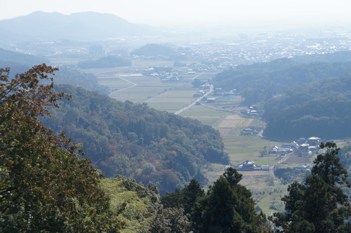 DSC08565