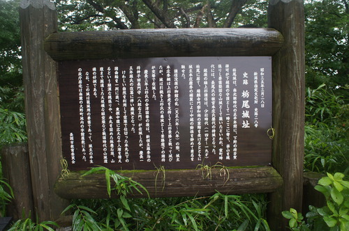 DSC00449