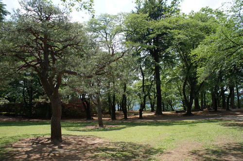 DSC07679