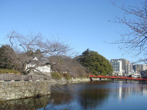 DSC06650