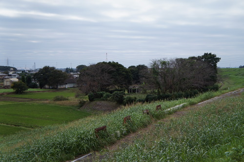 DSC08449