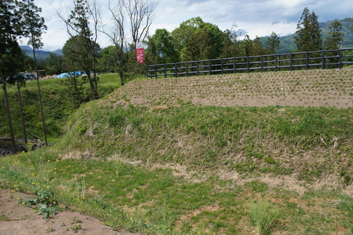 DSC07707