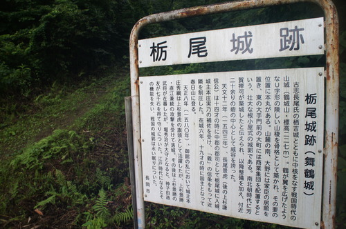 DSC00445