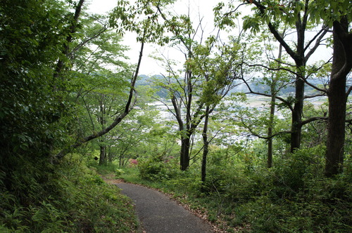 DSC07530