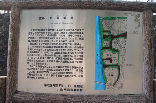 DSC09520