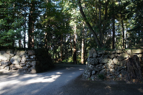 DSC08557
