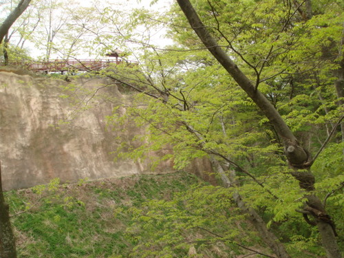 DSC03078