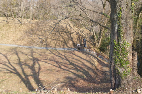 DSC02597