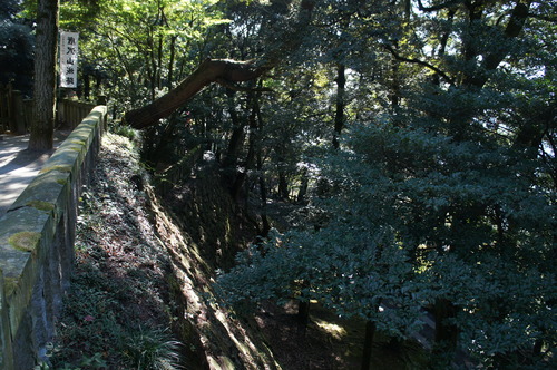 DSC08553