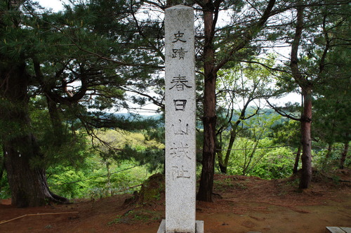 DSC00535