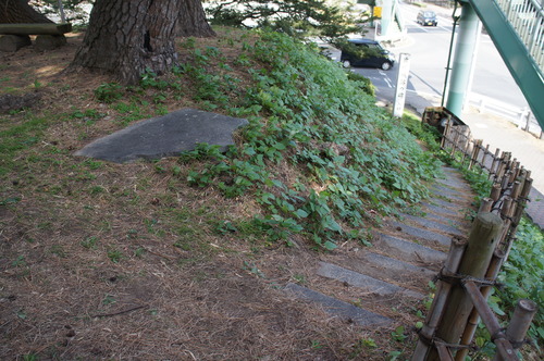 DSC08593