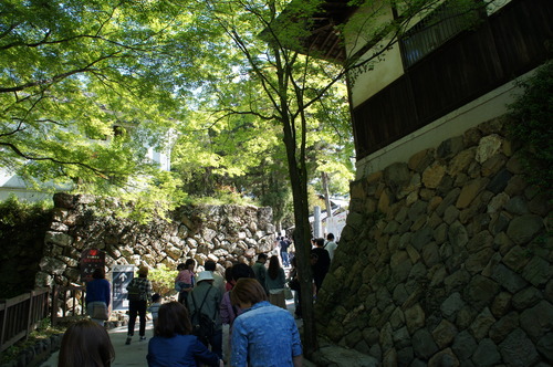 DSC00073