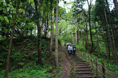 DSC00529