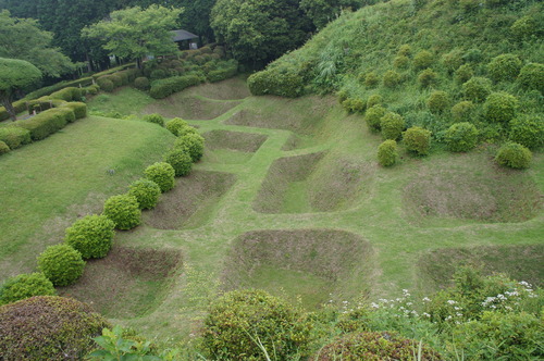DSC07892