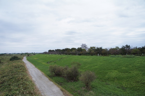 DSC08428