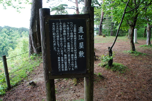 DSC00532