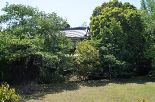DSC07447