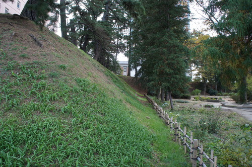 DSC08603