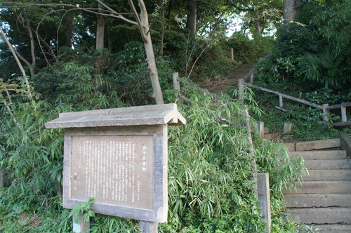 DSC06286