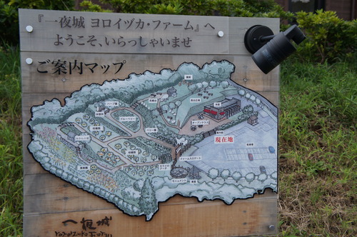 DSC03528