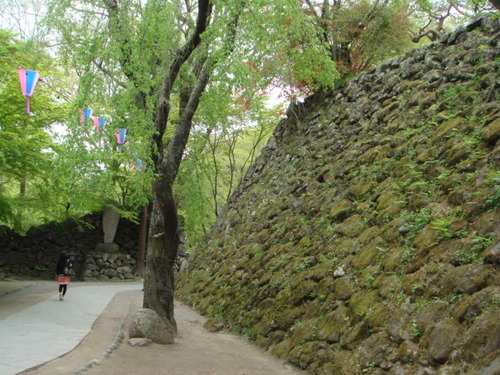 DSC03072
