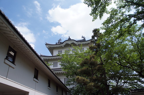 DSC05381