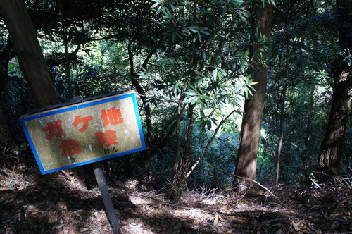 DSC00236