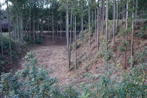 DSC02338