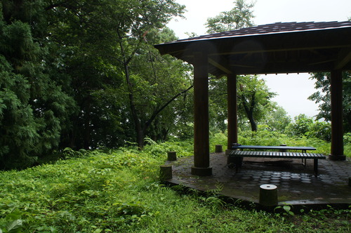 DSC00461