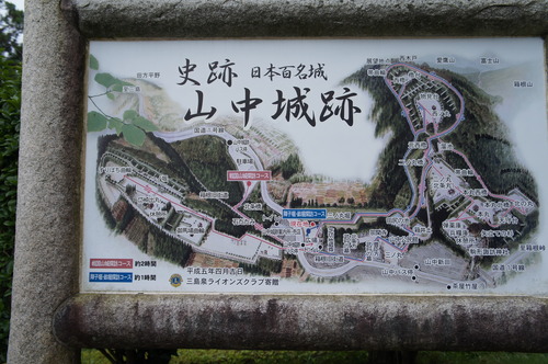 DSC07871