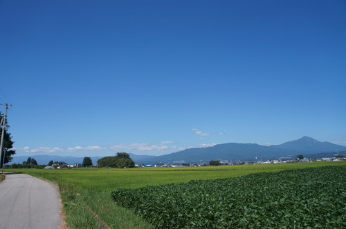 DSC08077
