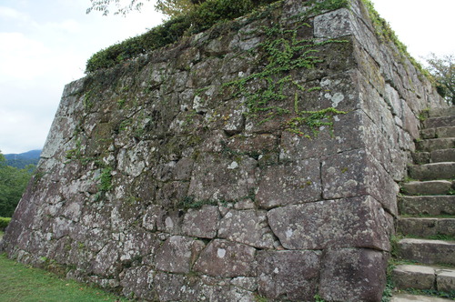 DSC00649