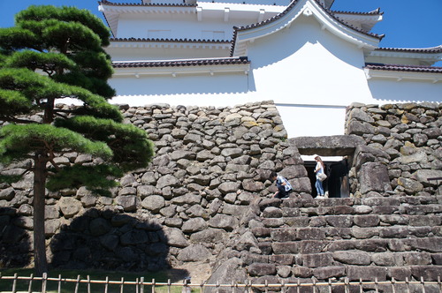 DSC07975