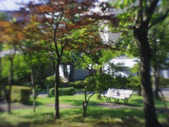 A_IMGP6818