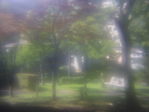 A_IMGP6816