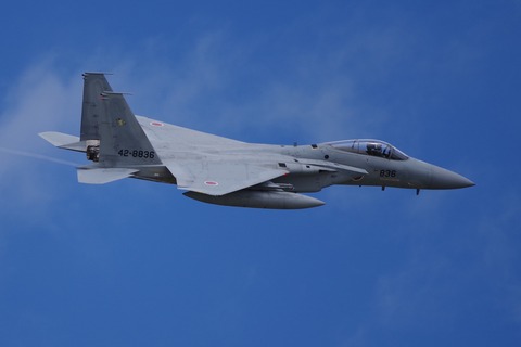 A_IMGP2713