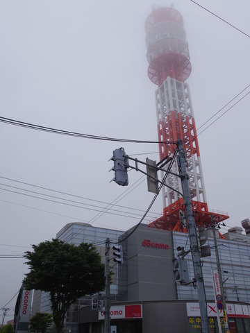 IMGP6706