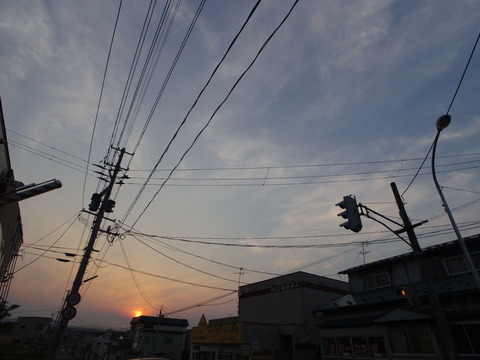IMGP6582