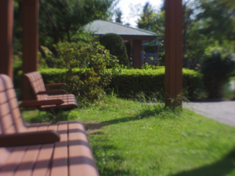A_IMGP6823