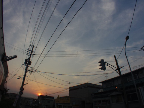 IMGP6581