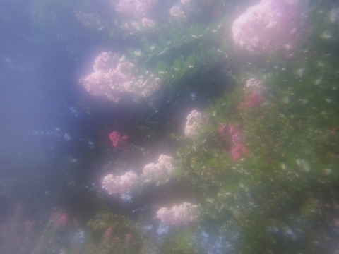 A_IMGP6809