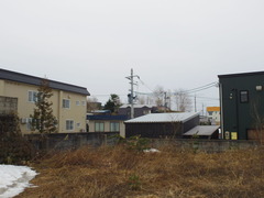 IMGP5573