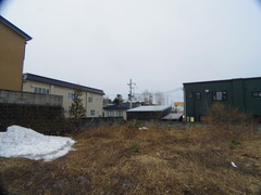 IMGP5568