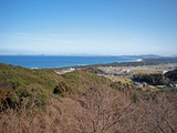 P2072845_edited
