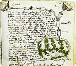 voynich_part34